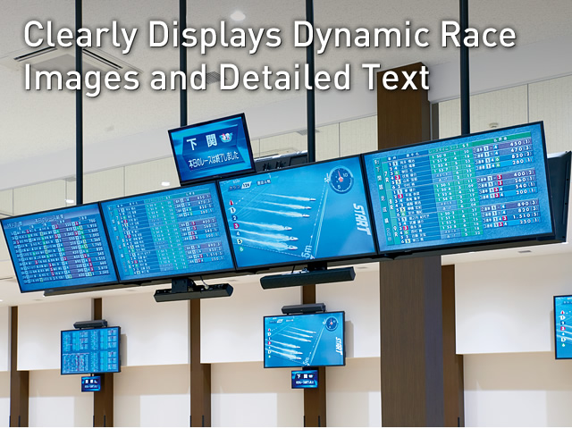 Clearly Displays Dynamic Race Images and Detailed Text