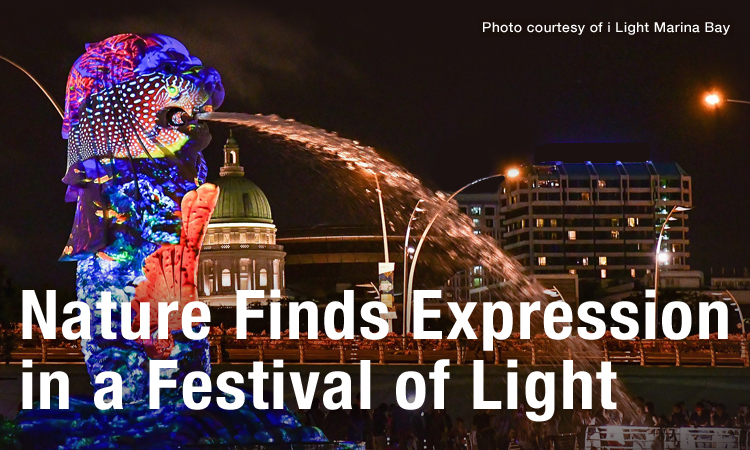 Nature Finds Expression in a Festival of Light