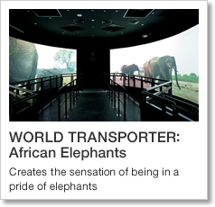 WORLD TRANSPORTER: African Elephants Creates the sensation of being in a pride of elephants