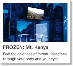 FROZEN: Mt. Kenya Feel the coldness of minus 10 degrees through your body and your eyes