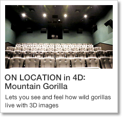ON LOCATION in 4D: Mountain Gorilla Lets you see and feel how wild gorillas live with 3D images