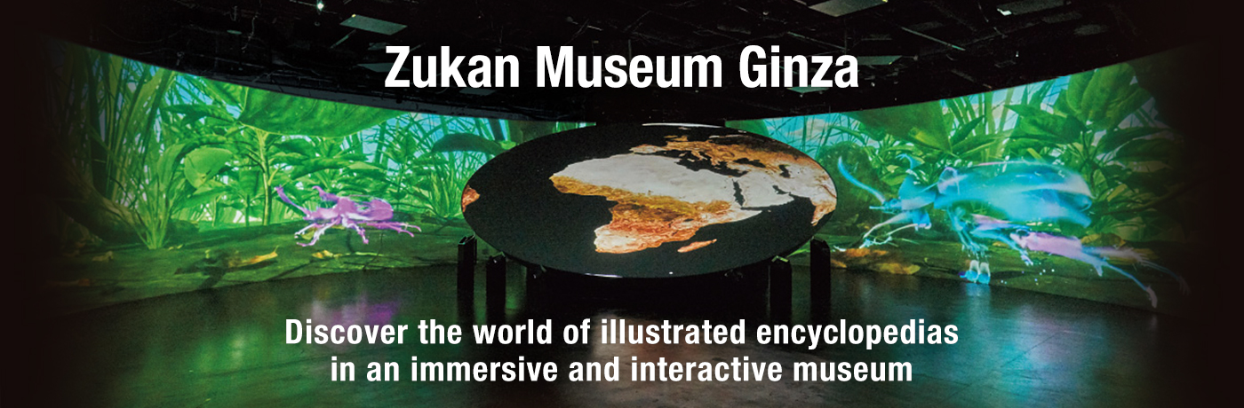 Discover the world of illustrated encyclopedias in an immersive and interactive museume