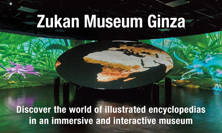 Discover the world of illustrated encyclopedias in an immersive and interactive museum