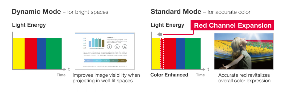 Rich Color Enhancer for Vivid, Accurate Colors