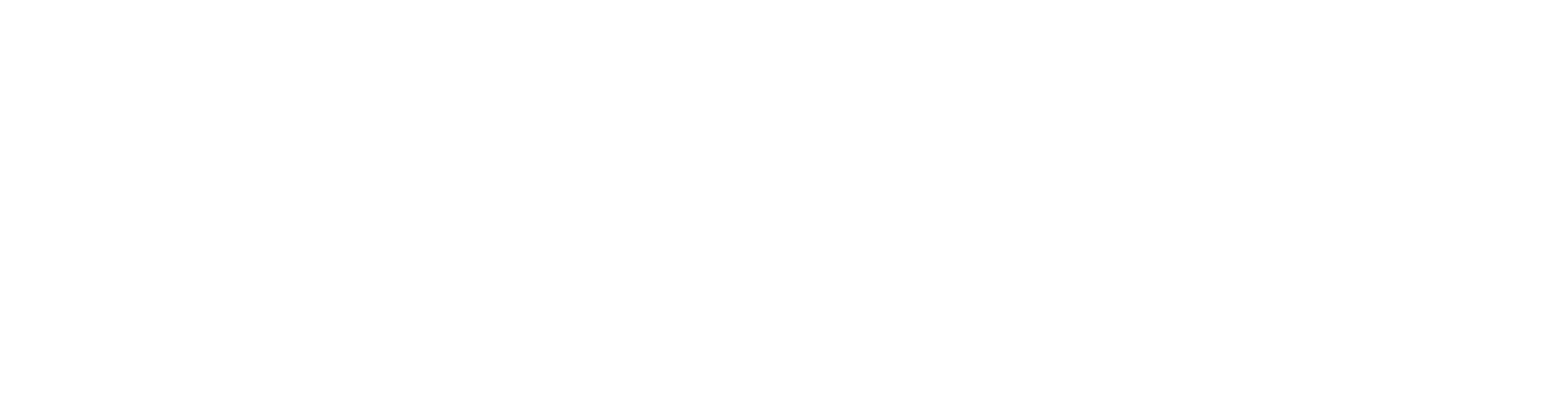 MEVIX